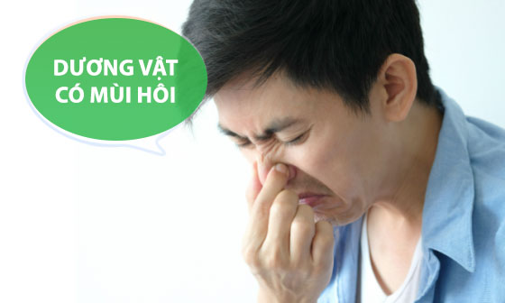 Vì Sao Bộ Phận Sinh Dục Nam Có Mùi Hôi?
