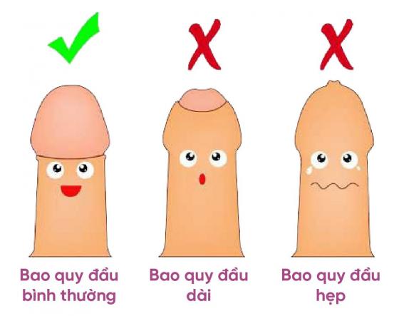 hep-bao-quy-dau-01.jpg