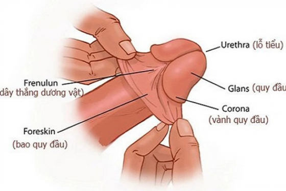 dau_hieu_sap_lot_bao_quy_dau_nam_gioi_can_biet_1.jpg