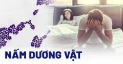 Tổng Quan Về Nấm Ở Dương Vật Nam Giới