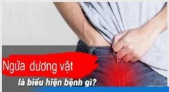 Ngứa Dương Vật Cảnh Báo Bệnh Gì? Địa Chỉ Khám Nam Khoa Uy Tín Tại Bình Dương