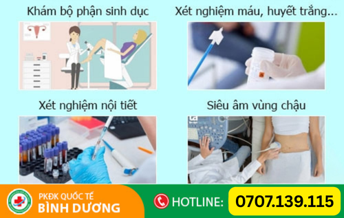 Untitled design (3).png