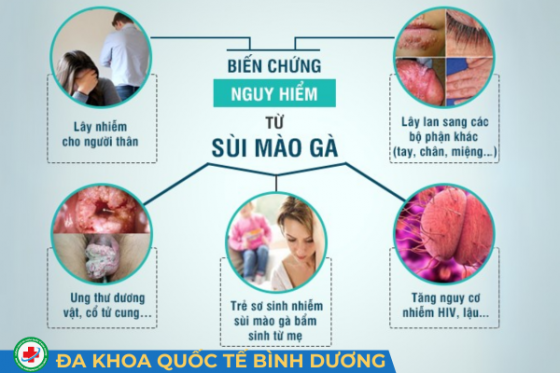 bienchungsmg.png