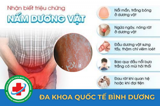 nam-dv.png