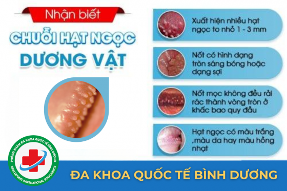 bxh (3).png