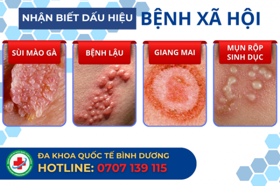 bxh (9).png