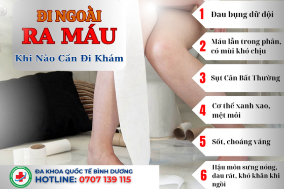 Tổng Quan Bệnh Đi Cầu Ra Máu: Nguyên Nhân, Triệu Chứng Và Cách Điều Trị