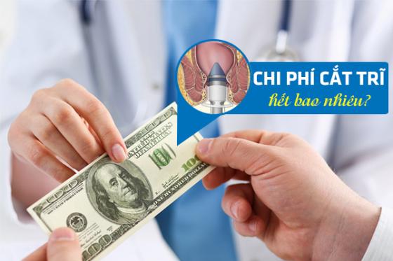 chi-phi-cat-tri-2.jpg