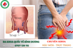 BỆNH TRĨ NỘI LÀ GÌ NHẬN BIẾT CÁC DẤU HIỆU NGUYÊN NHÂN CỦA BỆNH
