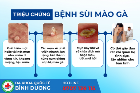bxh (28).png