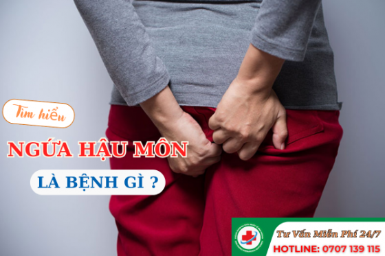 Ngứa Hậu Môn Là Bệnh Gì? Tìm Hiểu Về Các Dấu Hiệu Liên Quan Đến Bệnh Trĩ