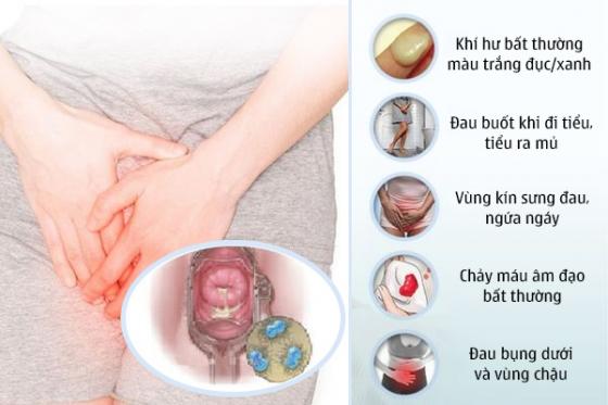 khi-hu-mau-xanh-2.jpg
