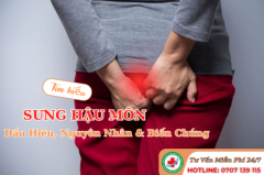 Sưng Hậu Môn Dấu Hiệu Bất Thường. Nhận Biết Các Dấu Hiệu, Nguyên Nhân Về Sư