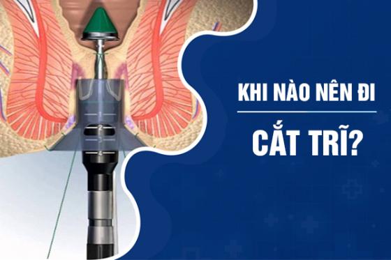 cat-tri-1.jpg